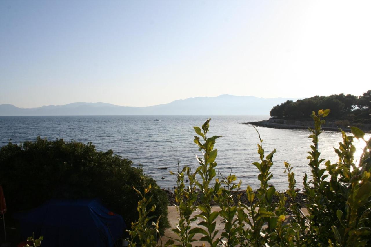 Apartments And Rooms By The Sea Sucuraj, Hvar - 4029 Екстериор снимка